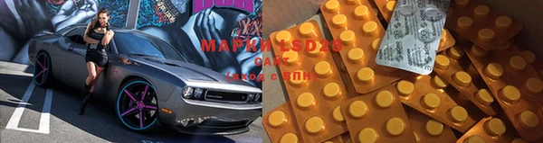 стаф Балахна