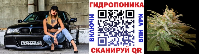 OMG ССЫЛКА  Старая Купавна  МАРИХУАНА LSD WEED  где можно купить наркотик 